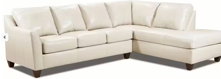 2029 SECTIONAL Image